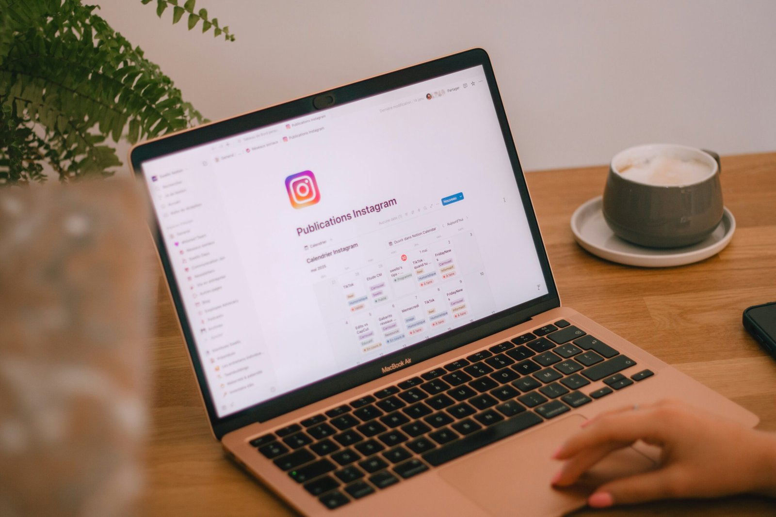 Estratégia de conteúdo para Instagram — Franciéli Bolico