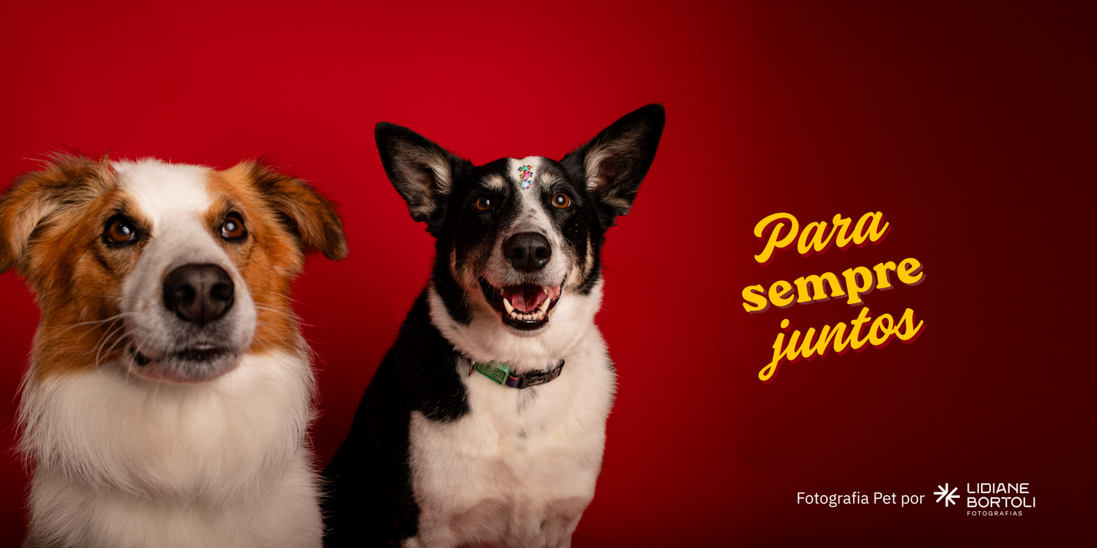 Tutor e pet em ensaio fotográfico da Lidi